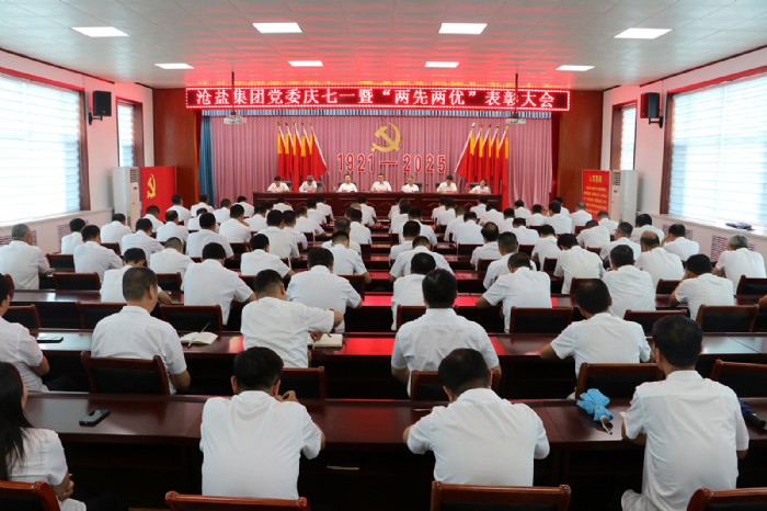 滄鹽集團黨委召開慶七一暨“兩先兩優”表彰大會